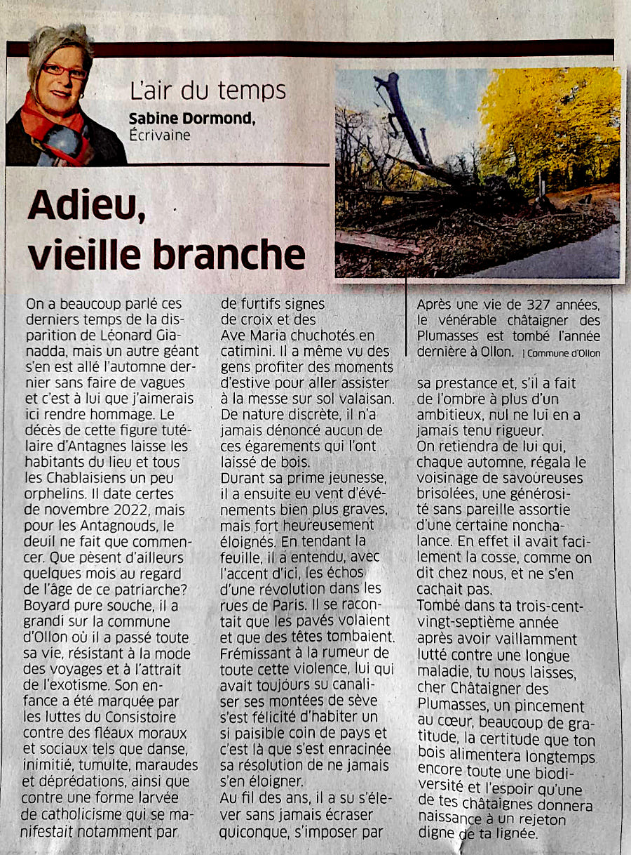 Adieu, vieille branche - Sabine Dormond - Article paru dans L'air du temps de Riviera-Chablais le&nbsp;13&nbsp;d�cembre&nbsp;2023